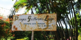 Comissão discutirá situação de abandono do Parque Municipal Professor Guilherme Lage