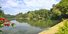 Parque Lagoa do Nado