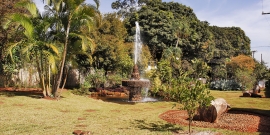 fonte de água dentro de parque, com gramado e árvores verdes ao fundo