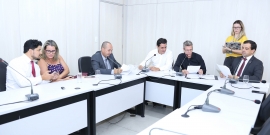 1ª reunião ordinária da Comissão de Administração Pública, em 12 de fevereiro de 2019