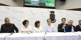 Parlamentares e convidados compõem mesa de reunião