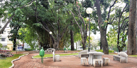 Parque Rosinha Cadar, com duas mess e cadeiras de cimento, cinco bancos, local calçado para transitar e muitas árvores, durante o dia. 