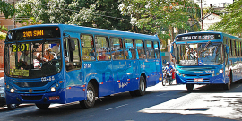 Dois ônibus transitam em avenida arborizada, durante o dia.