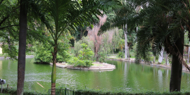 Imagem de um lago entre árvores  e protegido por uma cerca viva. Ao centro do lago, uma pequena ilha
