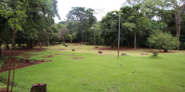 Á verde com extenso gramado e ao fundo diversas árvores com a copa frondosa