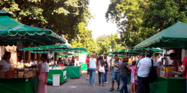 Barraquinhas vendem comida  em logradouro público 