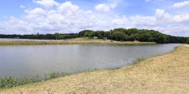 Foto da Lagoa da Pampulha mostrando assoreamento 