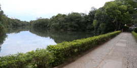 Imagem do espelho d'água no Parque Lagoa do Nado