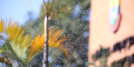 Imagem de gotículas de água sendo aspergidas no jardim. Ao fundo, a fachada da CMBH 