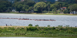 Imagem da Lagoa da Pampulha com destaque para uma parte assoreada