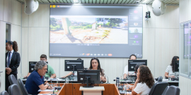 Imagem da vereadora Loíde Gonçalves (Podemos) presidindo a audiência