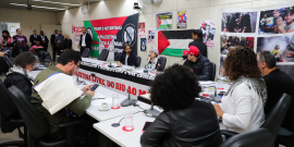 Vereadores e convidados participam de audiência no Plenário Helvécio Arantes, bandeiras da palestina estão afixadas nas paredes