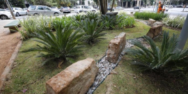 Jardim de chuva construído no centro de BH