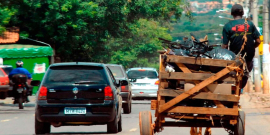 carroça trafega em via pública