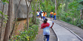 Criança corre durante excursão em área de mata