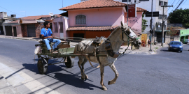 homem em carroça puxada por cavalo