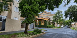 jardim de chuva
