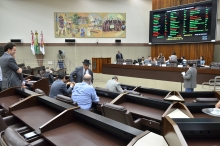 reunião plenária do dia 8/11