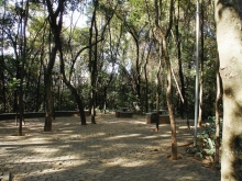 foto do parque da matinha