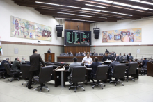 Vereadores em reunião plenária desta quarta-feira (3/6). Foto: Bárbara Esteves