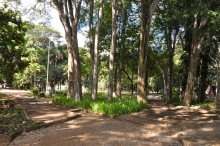 Área verde no Parque Municipal Professor Guilherme Lage, no Bairro São Paulo (Regional Nordeste)