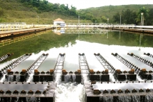 Sistema Rio das Velhas