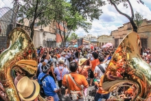 Blocos de rua reúnem milhões de foliões no carnaval de BH