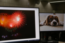 Em primeiro plano, uma tela com imagem de fogos de artifícios iluminando o céu. Em segundo plano, a imagem de um cãozinho deitado com um semblante triste 