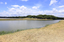 Foto da Lagoa da Pampulha mostrando assoreamento 