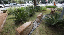 jardim de chuva